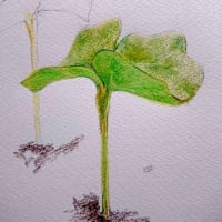 根詰まり