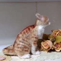 羊毛っこ　猫さん♪生まれました(*^^*)