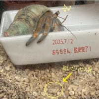 今日いち-2025年7月12日