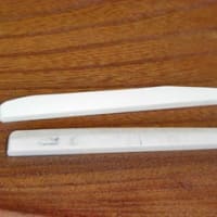 ３月練習会について