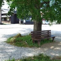 「琵琶湖畔 あのベンチ」に行ってきました。