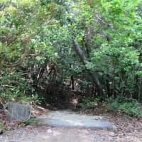 2025年5月　5回目の宮島弥山トレッキング(博打尾・大聖院コース)