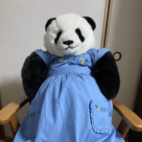 抱っこシャンシャンちゃん🩷