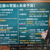 中田敦彦　世界史　　第二次世界大戦後の世界　「20」