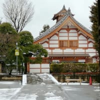 ⛄雪の日の東北寺　(東京　渋谷区　広尾)❄