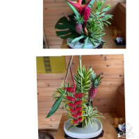 あっという間に1ヶ月