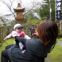 今年初のタケノコ掘りにいきました・・・が