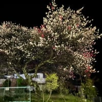 ちょっと長野県へ