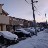 雪積る
