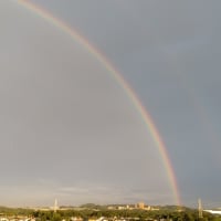 2025/06/26(木)　夕方の虹