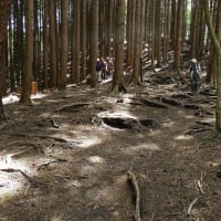 フルメンバー