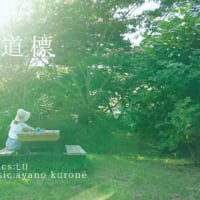 11/3（日・祝）、しののレインボーフェスvol.2に参加します！（弘前市）