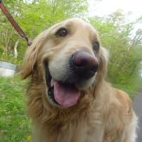 朝はむうちゃんと🎵 そして凪の侵入笑