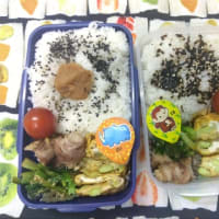 今日のお弁当