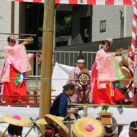 下関市住吉神社「御田植祭」＆神様のお米元気に育ってほしいですねミャ😺(=^・・^=)