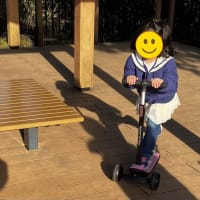 今日は一日中孫姉妹と一緒に