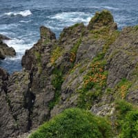 日本海の美しい島「粟島」　その２