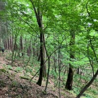 長沢背陵〜秩父へ