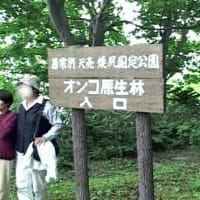 海鳥のサンクチュアリ　天売島と森林浴を楽しむメルヘンの焼尻島　５１回目　焼尻島