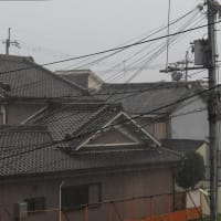 またもや大雨　