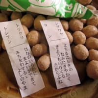 アラ クエ 鍋とアブラボウズ鍋 遊水のひとりごと アラ クエ 鍋とアブラボウズ鍋 遊水のひとりごと