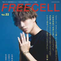 FREECELL Vol32