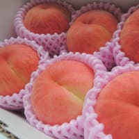 朝が昼が夜が毎日がそれぞれにいとおしい～明日に向って走れ‐僕の人生の今は何章目ぐらいだろう‐吉田拓郎