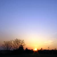 淡輪朝景（2013/4/23）