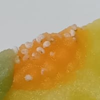 向日葵の上生菓子