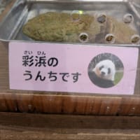 アドベンチャーワールド