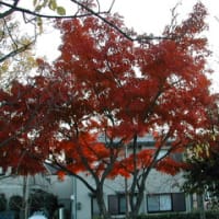 記事のタイトルを入力してください（必須）