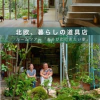 【動画出演のお知らせ】