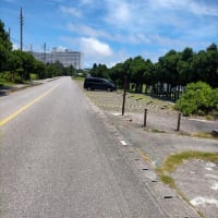 今年の海はここで決まり！
