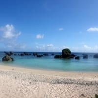 07/04旅日記-2：宮古島への旅2日目－②（保良漁港の断崖＆奇岩、）