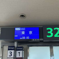 5月30日　第31回沖縄一人旅
