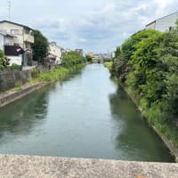 ラーメン藤に行った理由