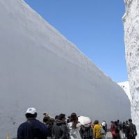 雪の大谷