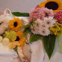 ありがとうミッキー