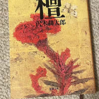 ◇『壇』　　　沢木耕太郎　著　　　　新潮文庫