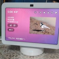 ２台目のエコーショー８