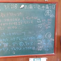20250322ダイビングログ