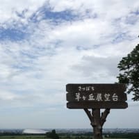 羊ヶ丘展望台でラベンダー刈り取り体験