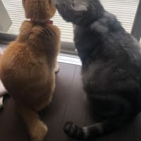 いつかの５月☆６月のアトウラ