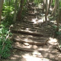 角田山（五倫石～山の神コース）2025梅雨
