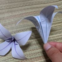 アレルギーでも贈れる花