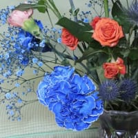 染め花・青いカーネーション