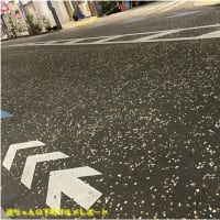 深川酒場で飲みましょう！　- 森下／鳥長 -