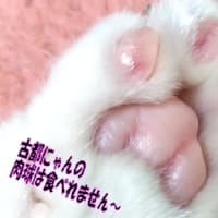 関西梅雨入り宣言！🪴👀私はハモ入り宣言～！ 梅雨も自然の雨の恵みちゃん！