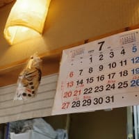 ランチは一くらへ行きました（呉市中通）