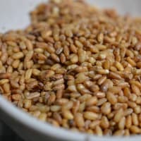 「発芽発酵炒り玄米」でなぜ体調が改善するのか？